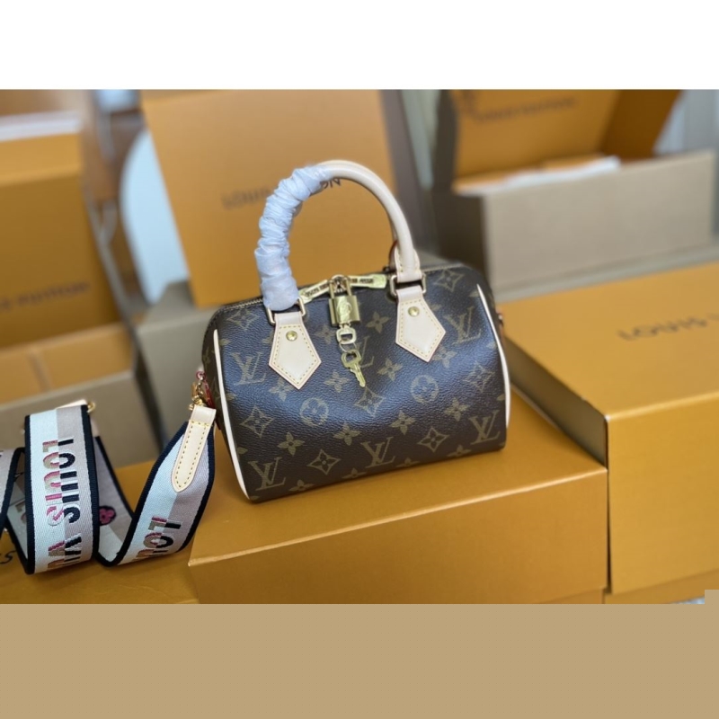 LV Speedy Bags